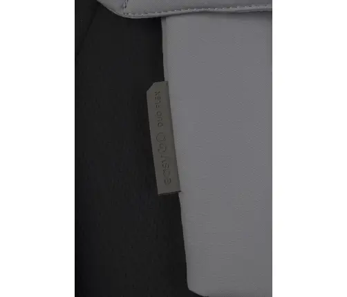 EasyGo Duoflex Cloudy Gray Dvivietė vežimėlis