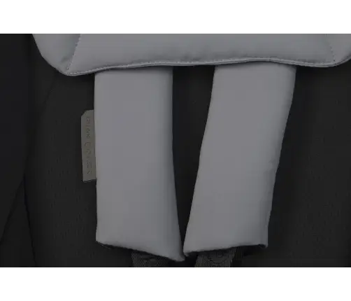 EasyGo Duoflex Cloudy Gray Dvivietė vežimėlis