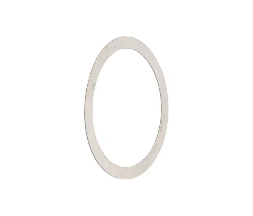 Centerlock Rotor Shims Jagwire