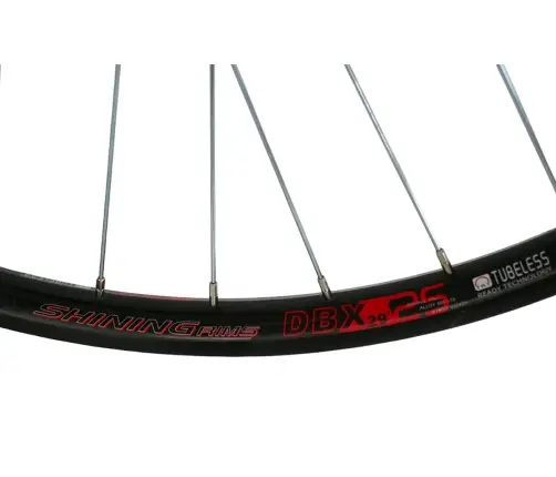 Wheel rear Shining 29" DB-X25 QR 6-Bolt MF