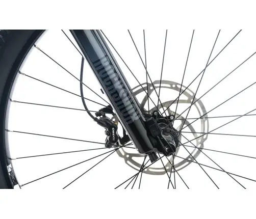 Bike CTM Switch Comp e-MTB 29"