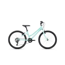 Велосипед CTM Mony 24"