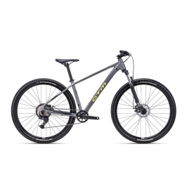 Jalgratas CTM Rambler 1.0 29''