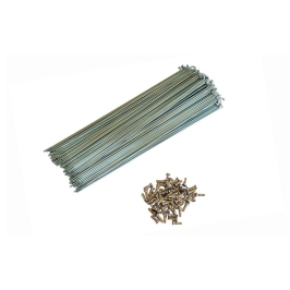 Spokes Pillar 2 x 283 mm