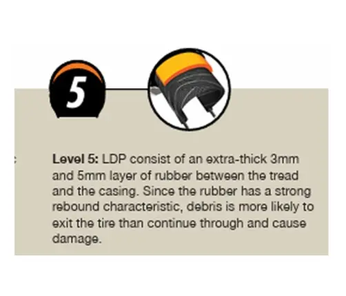 Padanga dviračiui CST 28 x 1.75 x 2 Xpedium C1880