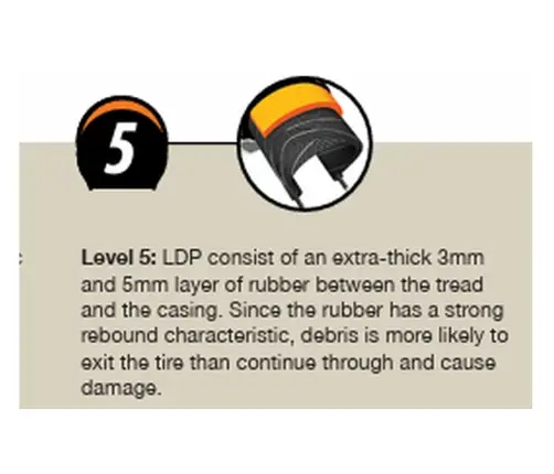 Rattarehv CST 700 x 38C Xpedium C1880