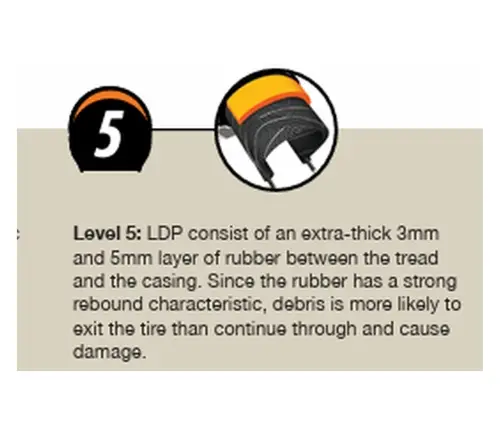 Padanga dviračiui CST 28 x 1*5/8 x 1 3/8, Xpedium C1880