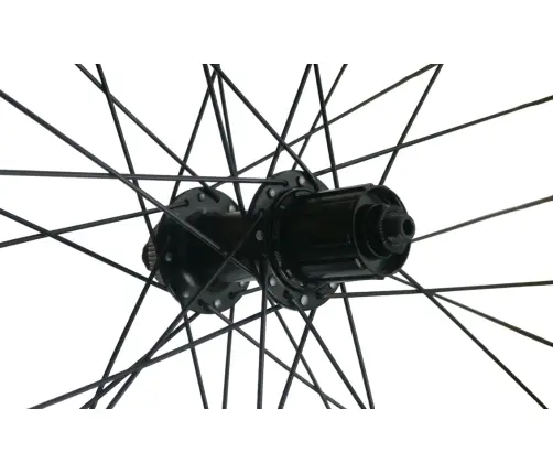 Aizmugurējais ritenis 29" Rodi Tryp 30 EVO QR Center Lock FH