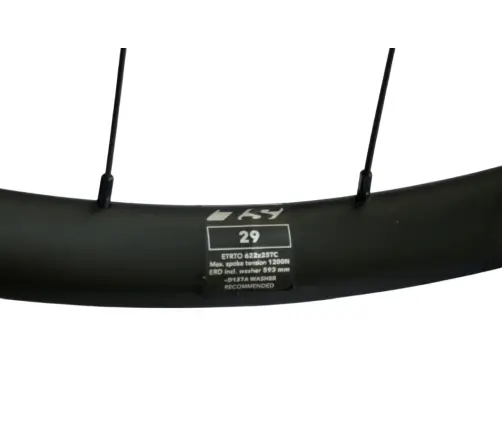 Tagaratas 700C BlackJack SL 25 ASY 12x142 Center Lock SB FH