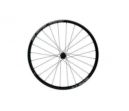 Ratas galinis 700C BlackJack SL 25 ASY 12x142 Center Lock SB FH