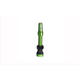 Tubeless valve Duke