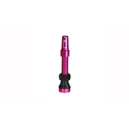 Tubeless valve Duke