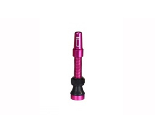 Tubeless valve Duke