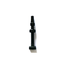 Tubeless valve Duke