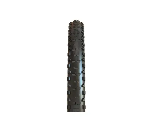 Padanga dviračiui Maxxis 29 x 2.40 WT Minion DHR II TR
