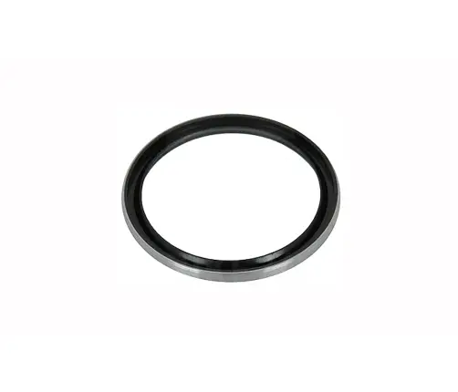 Rear hub O-ring DT Swiss