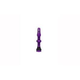 Tubeless valve Duke