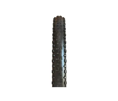 Velosipēda riepa Maxxis 29 x 2.60 Minion DHF TR