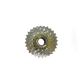 Multiple Freewheel