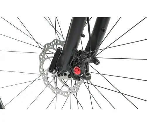 Dviratis Levit Simur 3 28"