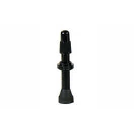 Tubeless valve Duke