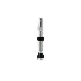 Tubeless valve Duke