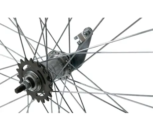 Wheel rear 28" Shining CT-46 SS Velosteel