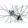 Esiratas 26" Shining 7X NUT