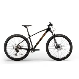 Velosipēds Corratec X-Vert Pro Team 29"