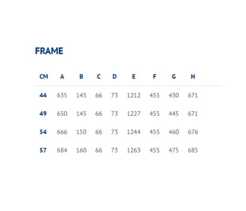 Dviratis Corratec E-Power X-Vert Elite Gent 29"