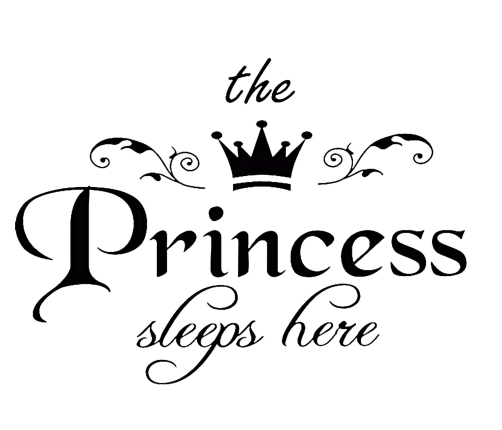Bērnu rotaļlietu kaste DARIA Princess
