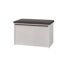Bērnu rotaļlietu kaste DARIA graphite panel