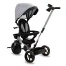 AXEL TITANIUM GRAY tricycle
