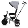 AXEL TITANIUM GRAY tricycle