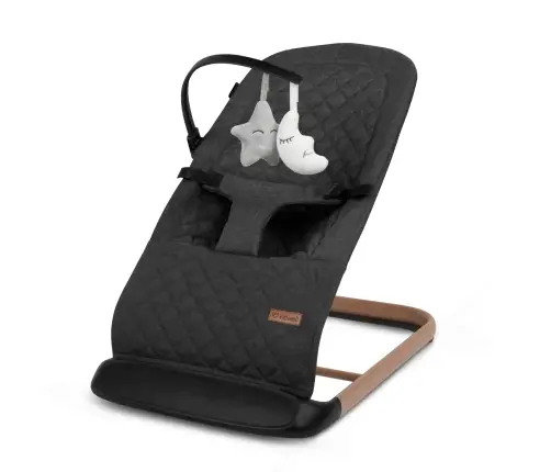 LARO Black/Wooden baby bouncer