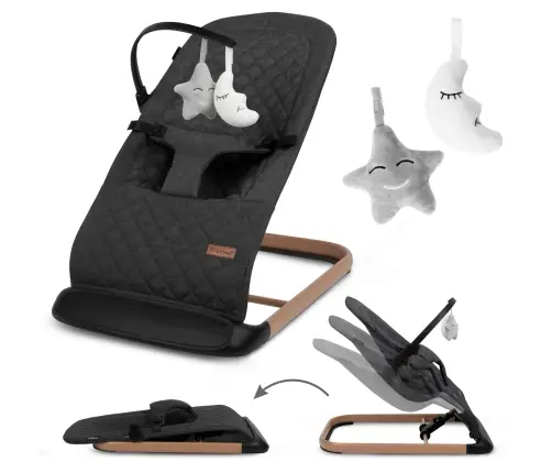 LARO Black/Wooden baby bouncer