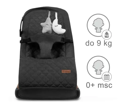 LARO Black/Wooden baby bouncer