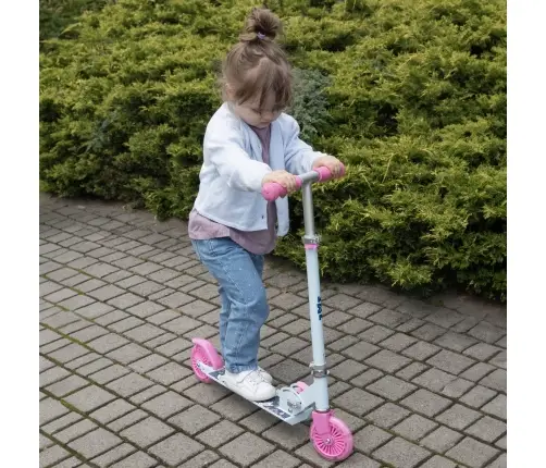 120 mm SKIPO Dog folding scooter