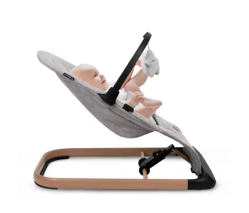 LARO Full Grey/Wooden baby bouncer