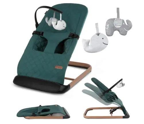 LARO Green/Wooden baby bouncer