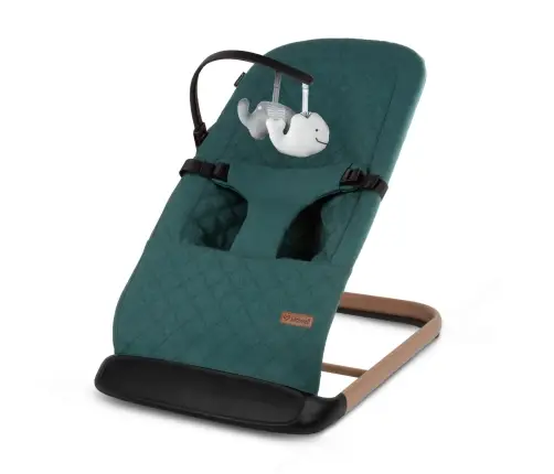 LARO Green/Wooden baby bouncer