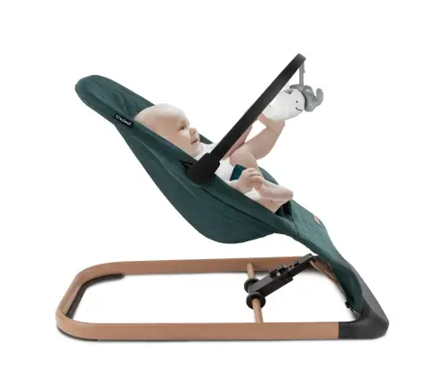 LARO Green/Wooden baby bouncer