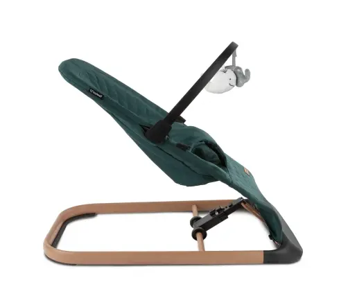 LARO Green/Wooden baby bouncer
