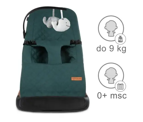 LARO Green/Wooden baby bouncer