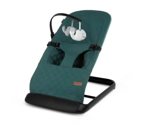 LARO Green/Black baby bouncer