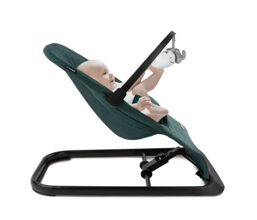 LARO Green/Black baby bouncer