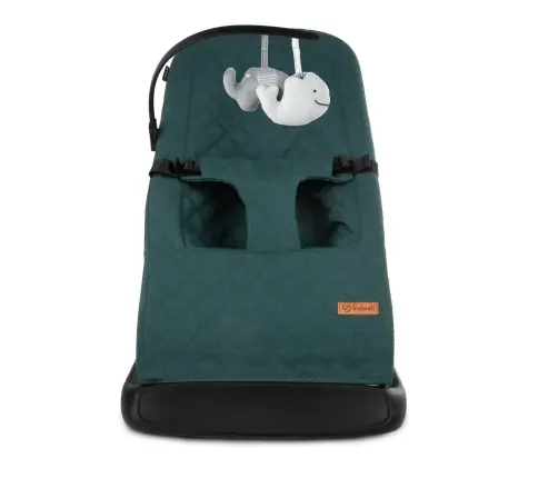 LARO Green/Black baby bouncer