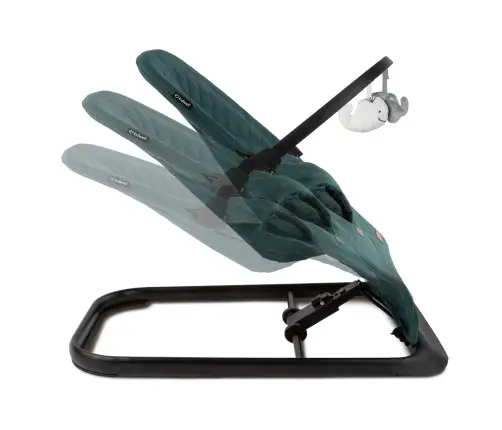 LARO Green/Black baby bouncer