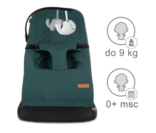 LARO Green/Black baby bouncer