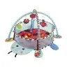 Educational Mat Ladybird Playpen Balls for Baby Educational Mat Ladybird Playpen Balls for Baby